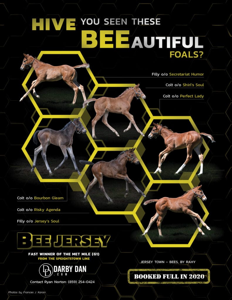 Bee Jersey – Darby Dan Farm