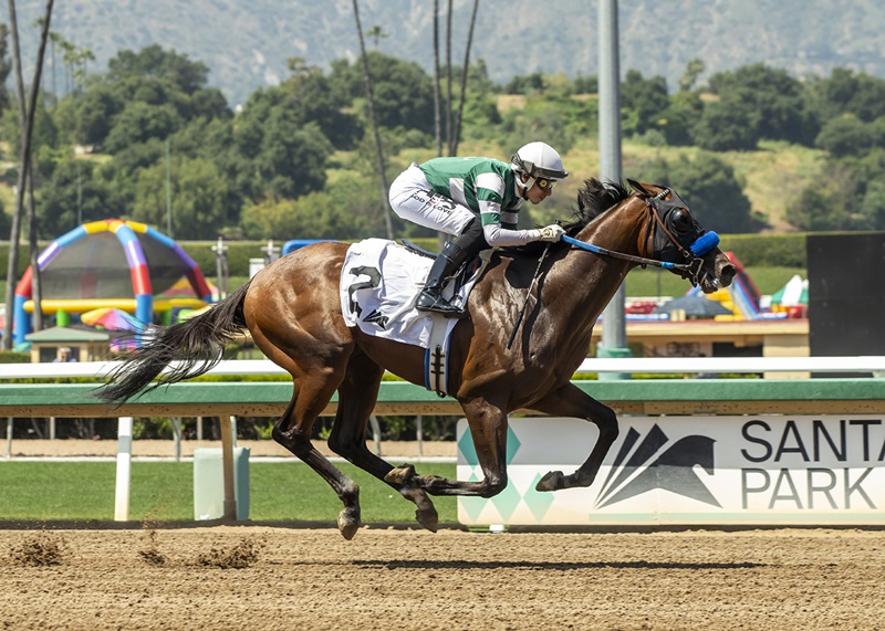 Tapalo earns first stakes win in dominant fashion